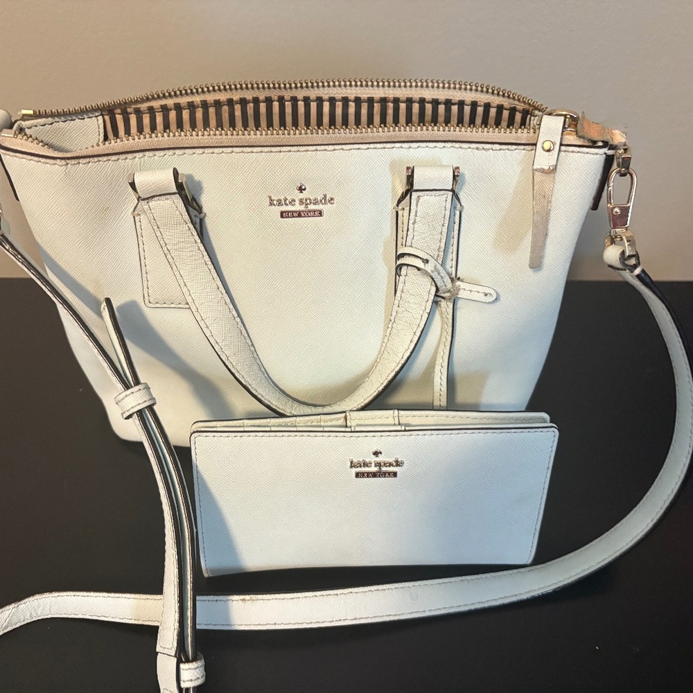 Kate Spade Lucie Cameron Leather Small Tote and Wallet in Light Blue